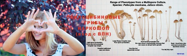 прущая мука Балабаново