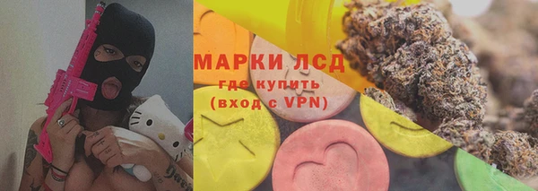 прущие грибы Баксан