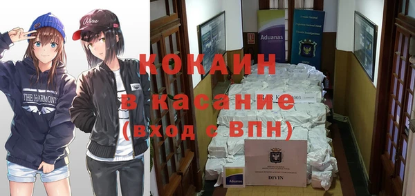 прущие грибы Баксан