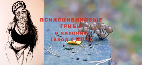 прущие грибы Баксан